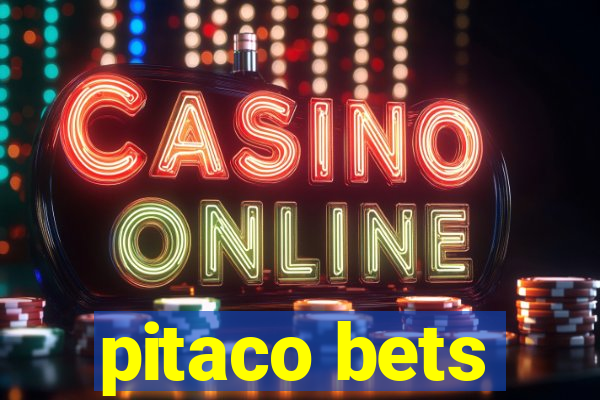 pitaco bets